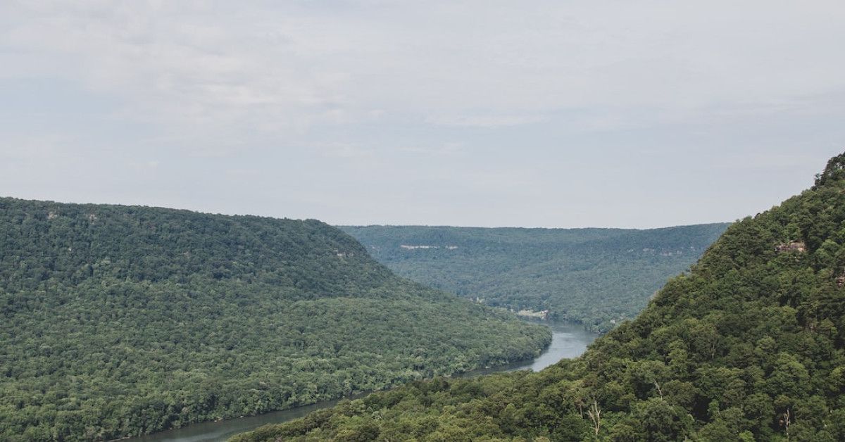 10 Essential Cycle Signal Tips for Every Cyclist - Image