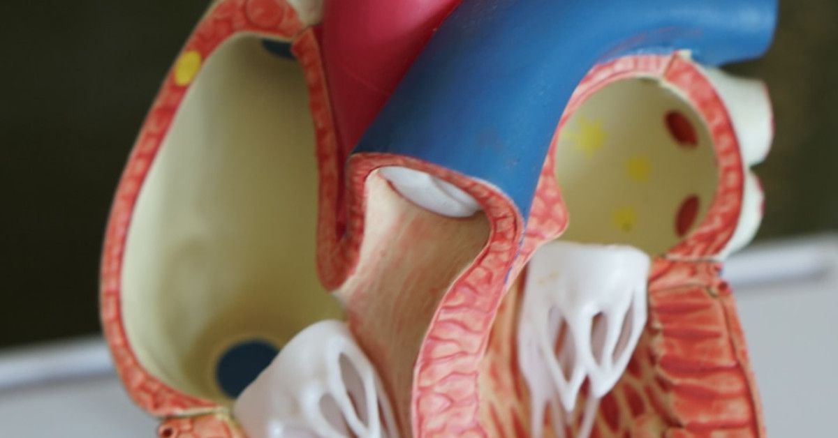 10 essential steps for medical billing revenue cycle management.