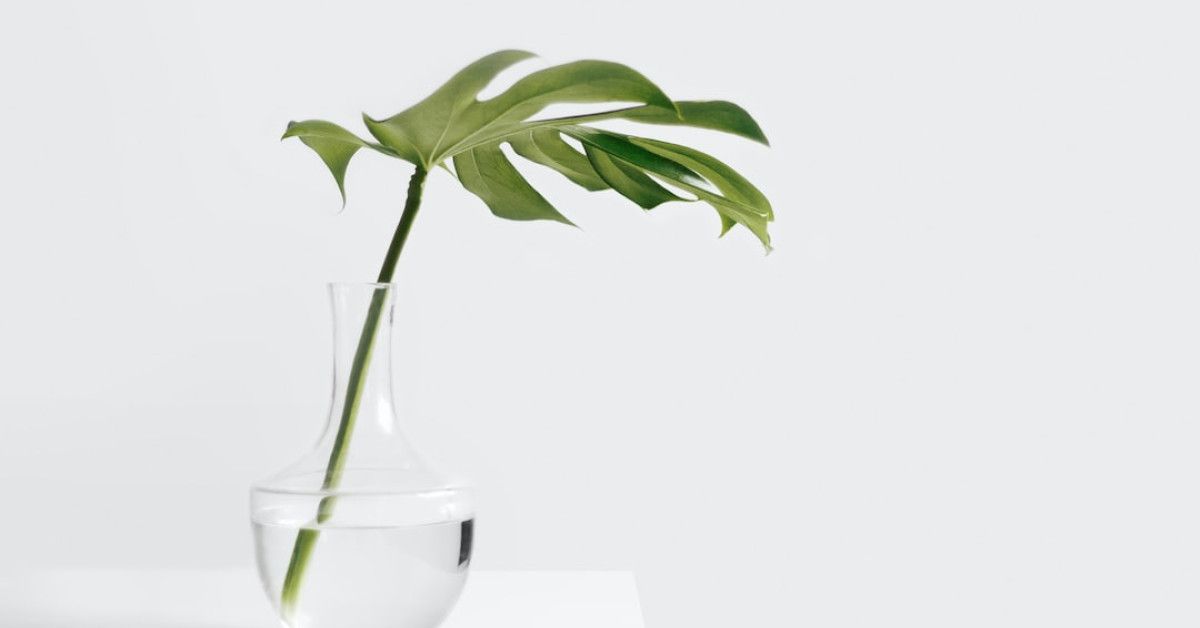 10 Steps for a Successful Change Management Life Cycle