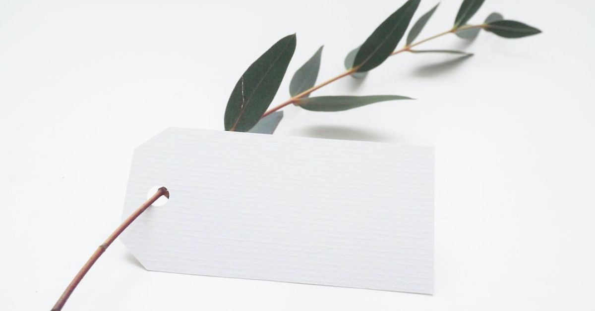 10 essential steps for a successful IVF journey infographic.