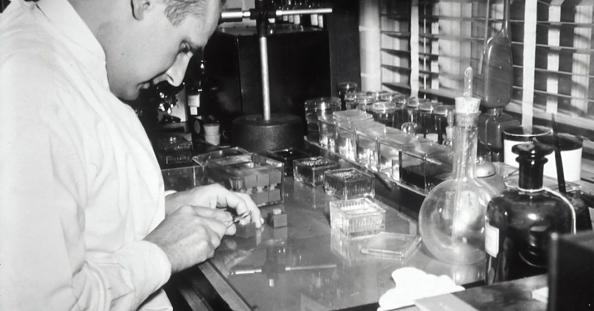 Tips for choosing the right Natural Cycles LH test