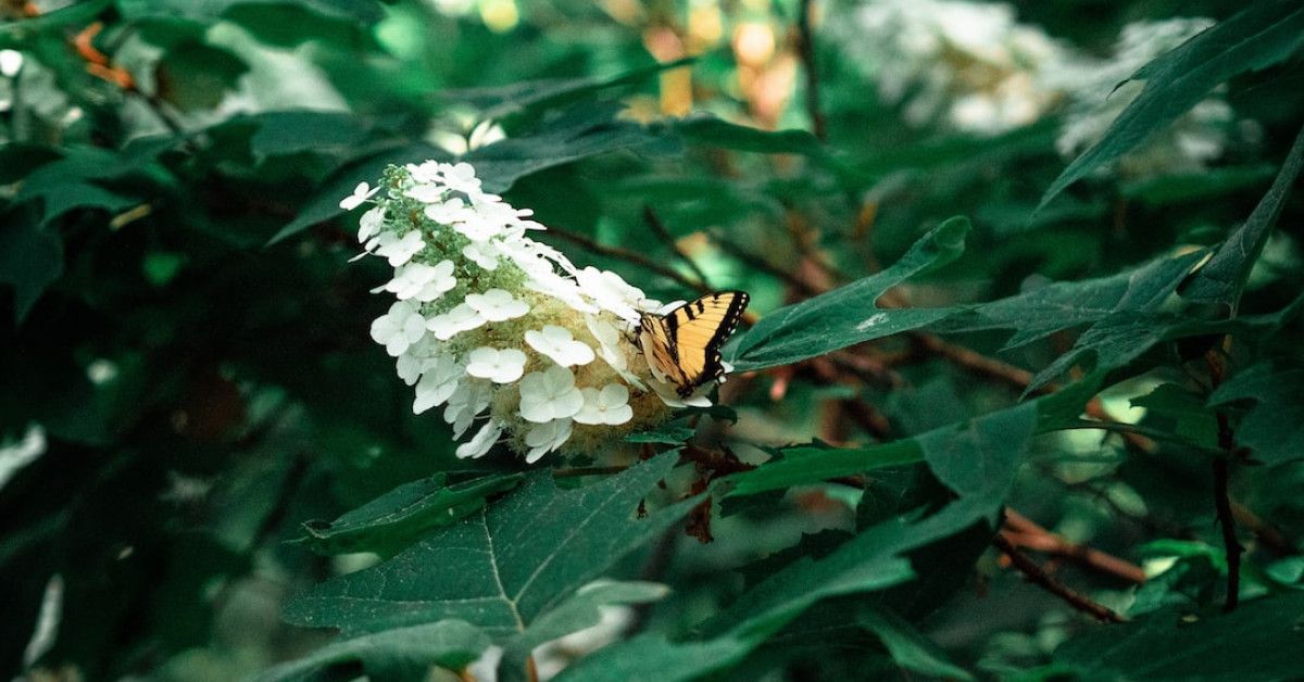 Essential tips for urgent care revenue cycle management in TN