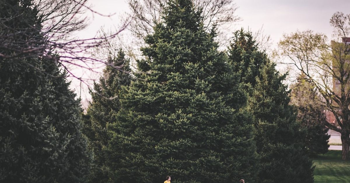 10 essential tips for perfecting your animation run cycle