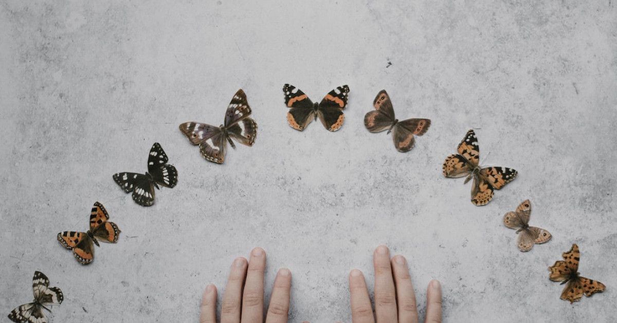 10 fascinating facts about the life cycle of butterflies