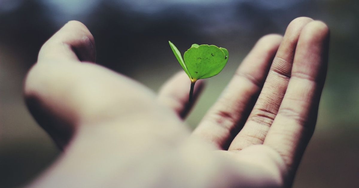 Fascinating stages of coral life cycle for cycling enthusiasts.