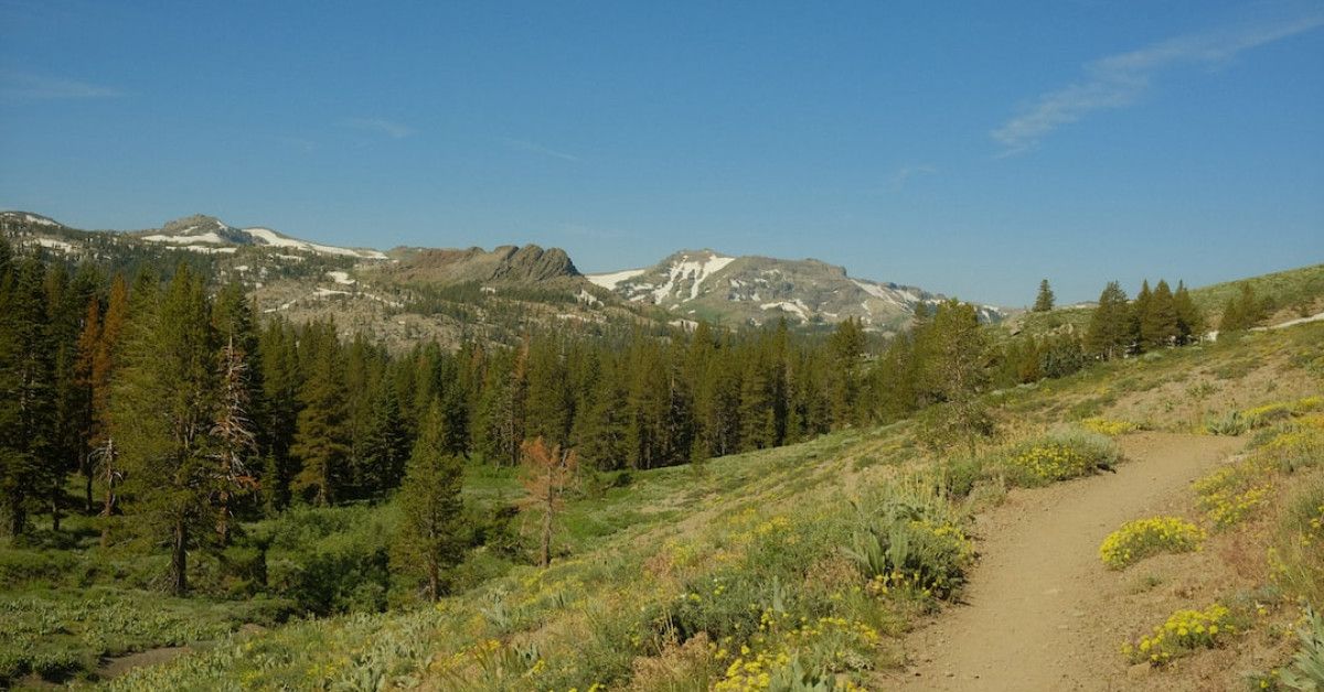 10 must-visit cycling trails in Wambaw - Expert tips