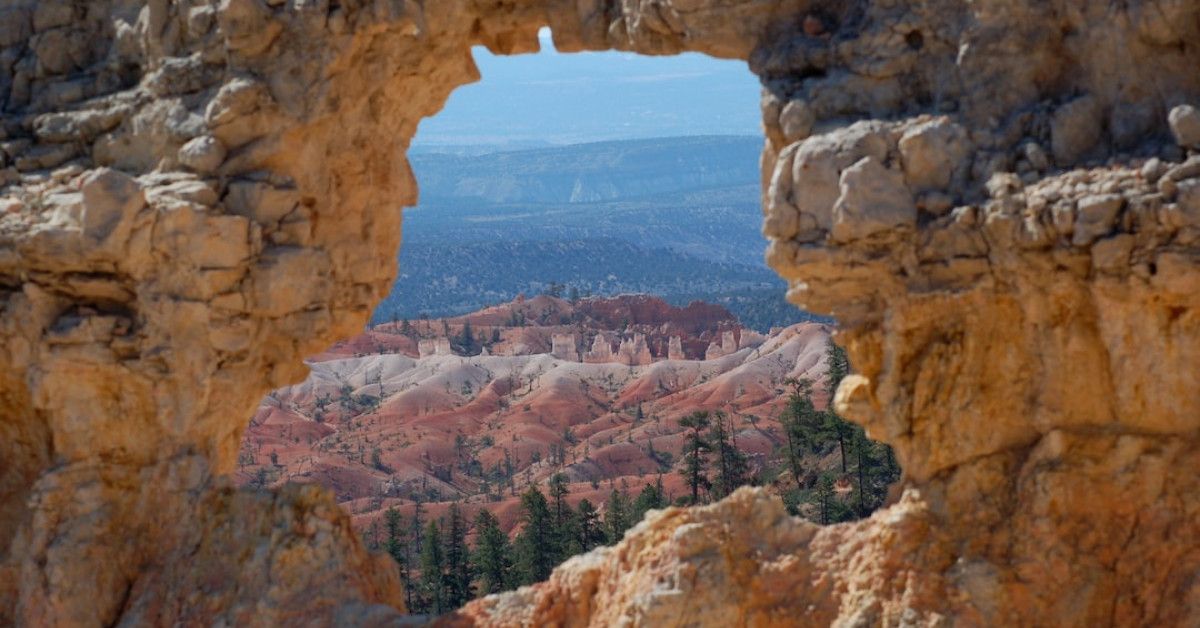 10 ways to optimize your cycling performance with Oura