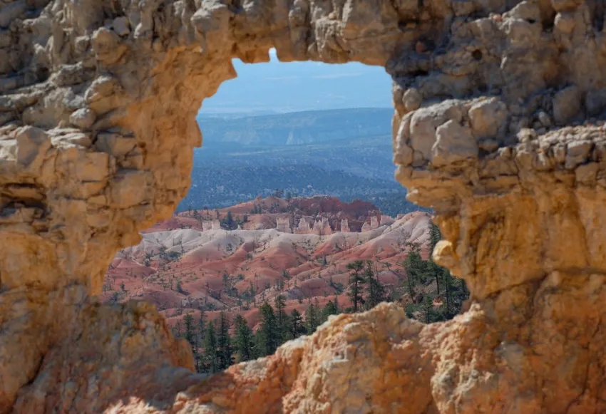 10 ways to optimize your cycling performance with Oura