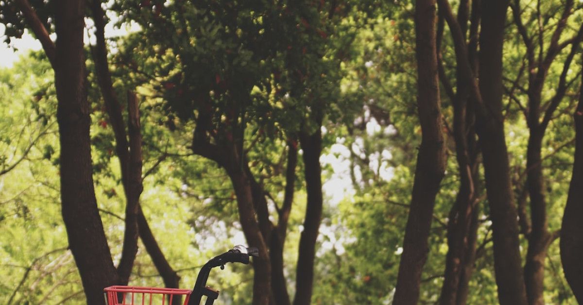 5 Effective Strategies to Build a Healthy Relationship with Food