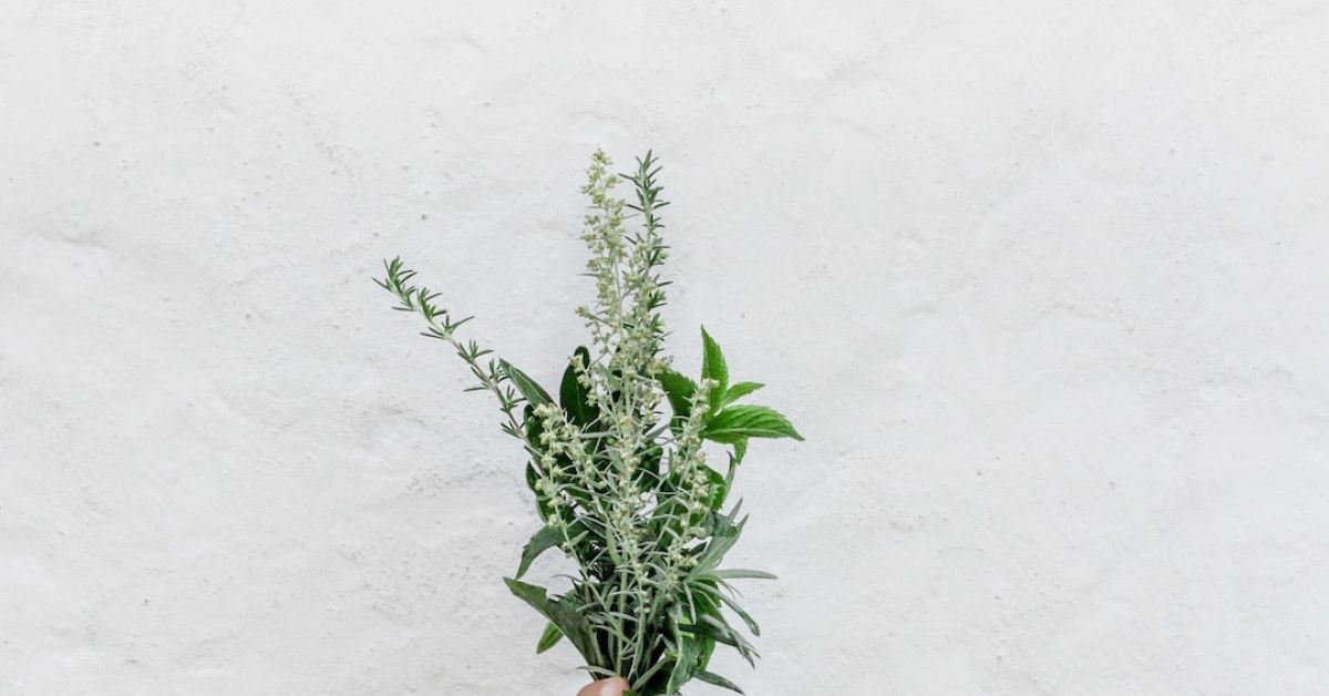 5 essential facts about LH test for natural cycle monitoring