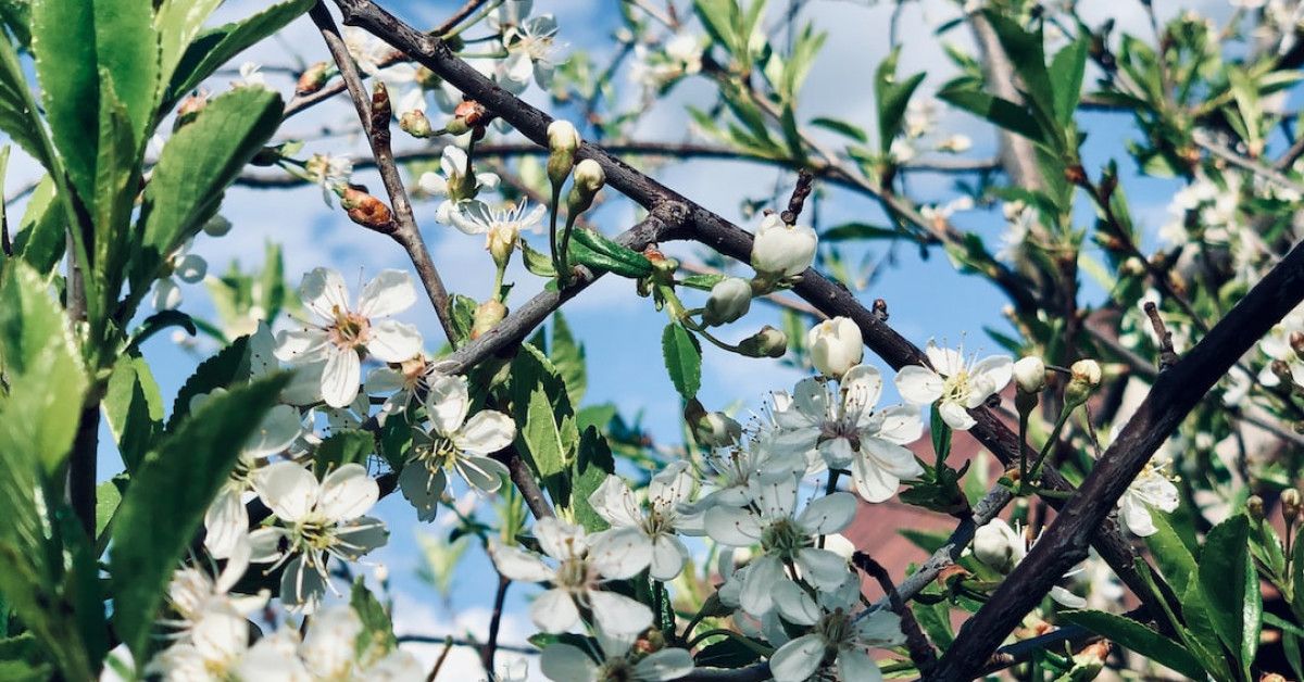 5 Proven Steps for Overcoming Frustration and Finding IVF Success