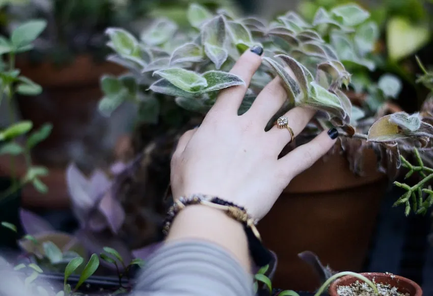 Improve cycling performance with Oura Ring in 5 ways