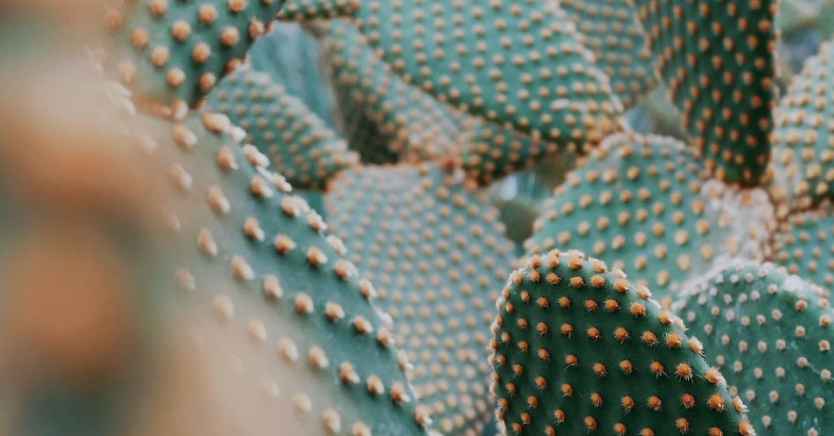 7 CoolSculpting Cycles for a Trimmer Abdomen - Ultimate Guide