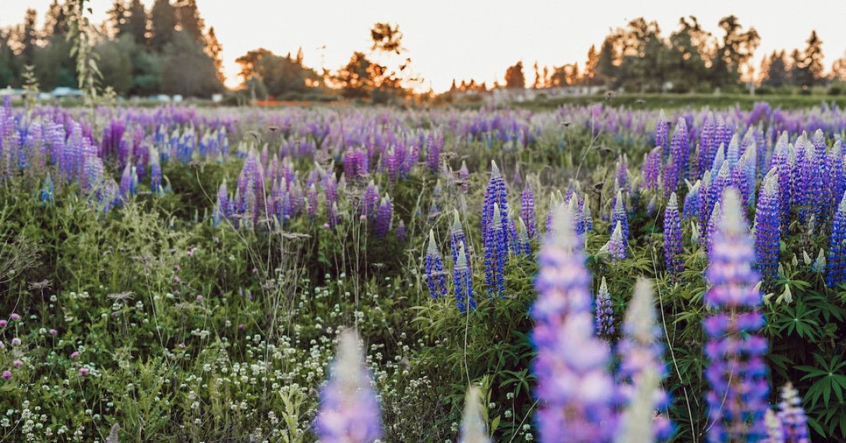 Tips for maximizing your cycling performance with Natural Cycles.