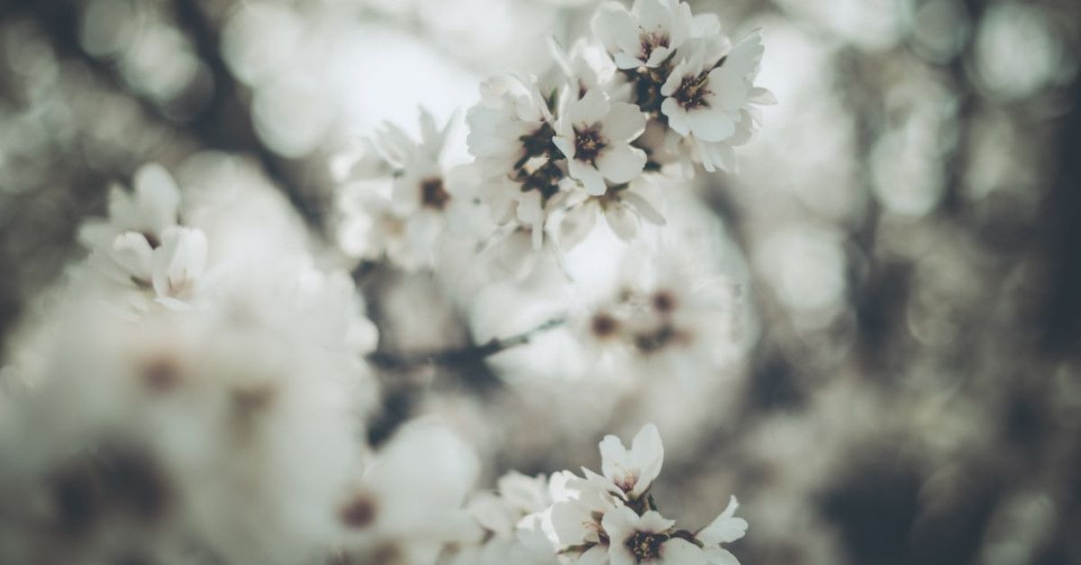 Menstrual cycle tracking tips with the Oura Natural Cycles