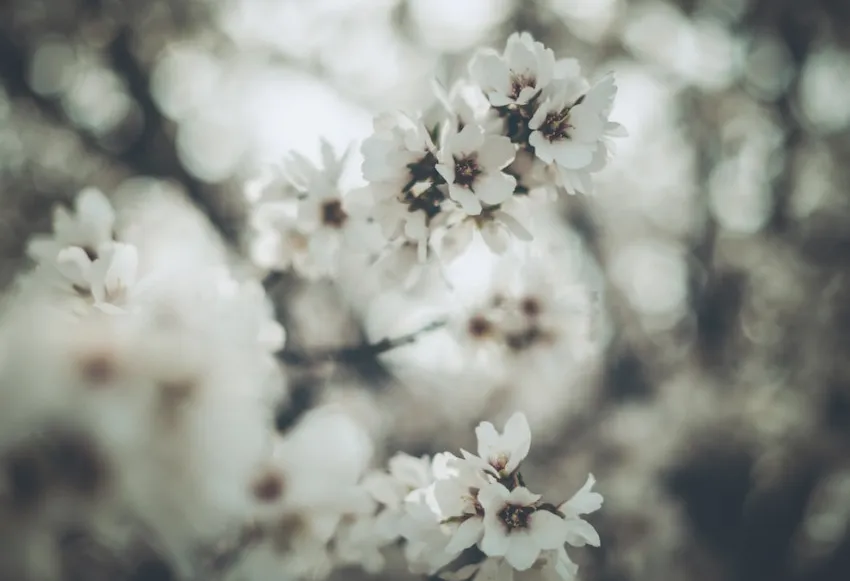 Menstrual cycle tracking tips with the Oura Natural Cycles