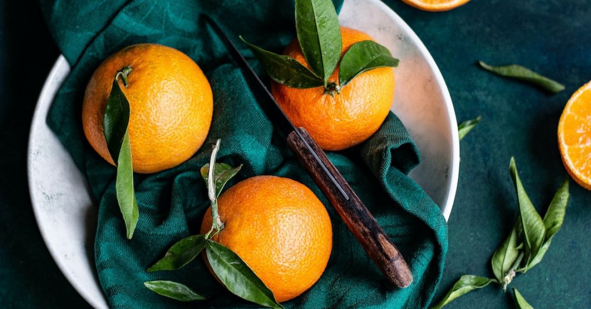 Fascinating stages of bat life cycle in image