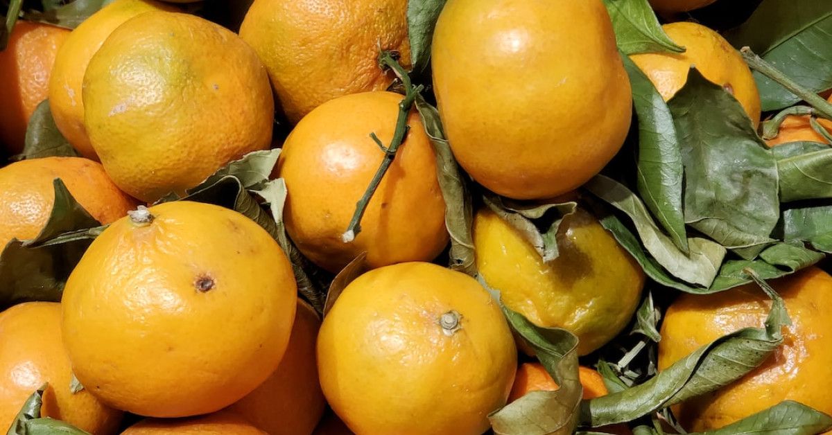 Image: 7 natural ways to track body temperature during cycling.