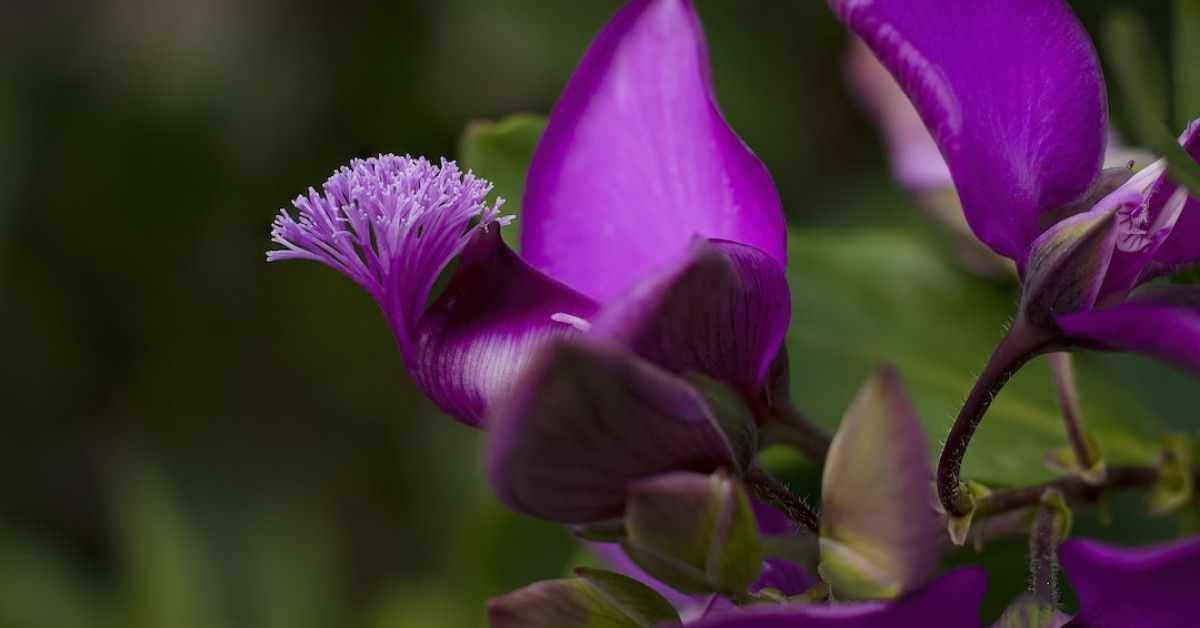 Troubleshooting tips for a GE dishwasher that won't drain.