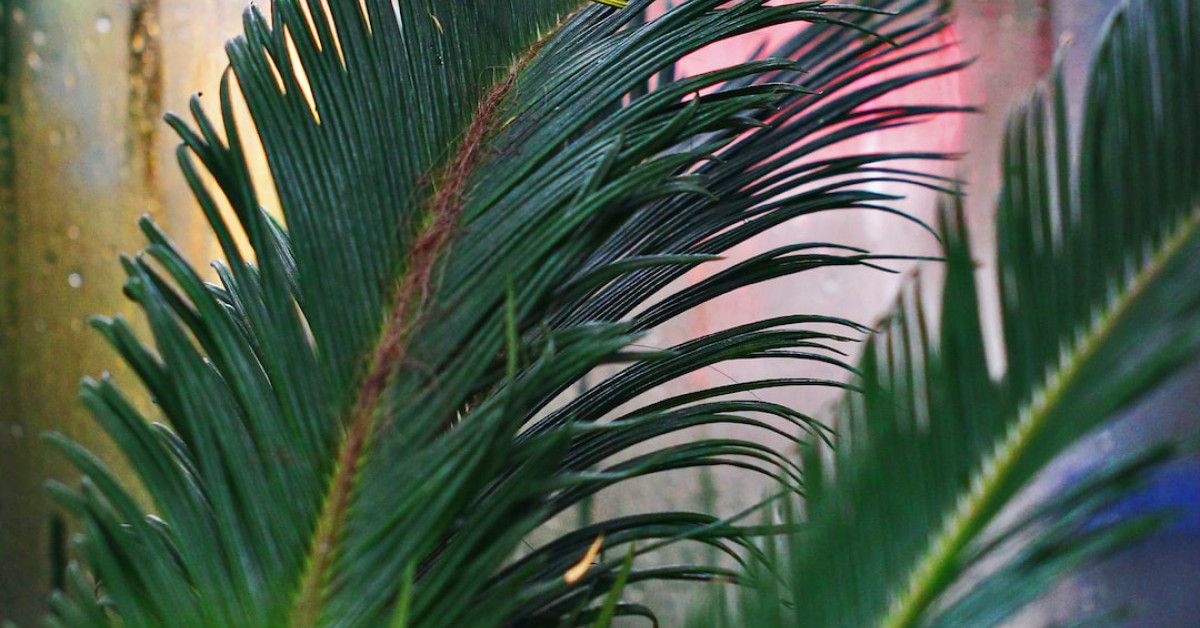 Boost your cycling performance with these essential natural cycles.