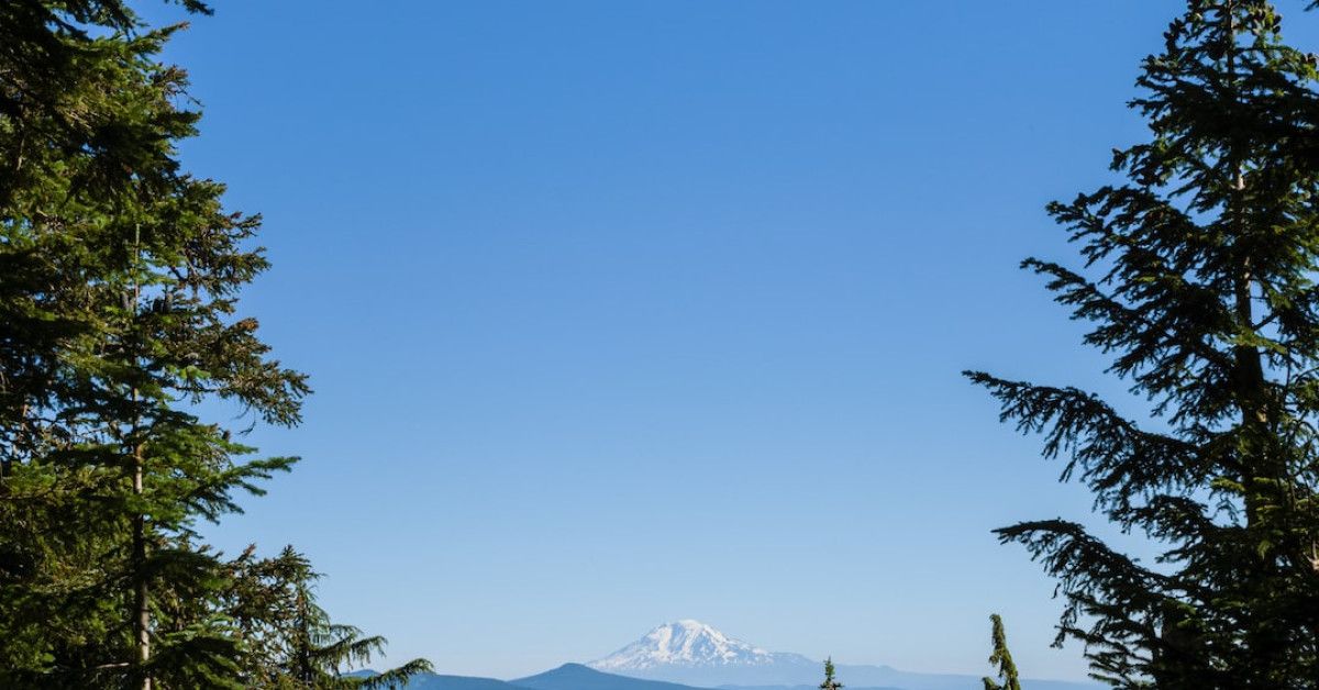 Comprehensive guide to maximizing your Oregon e-cycles experience.