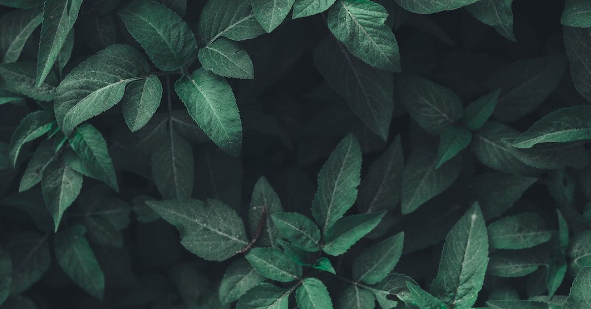 Image showing natural cycles and Oura for enhanced cycling performance.