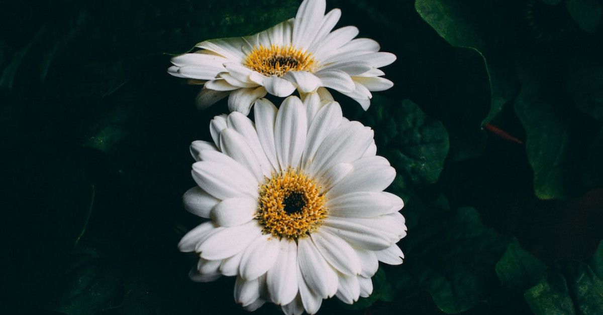 Understanding postpartum body's cycling patterns after pregnancy - IcerikPlanla