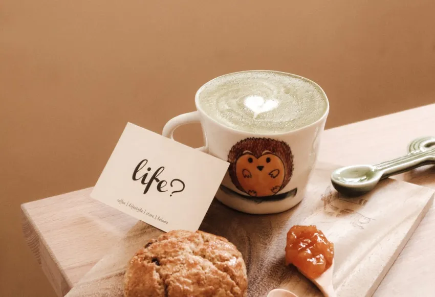 Turtle life cycle: Journey from hatchling to adulthood.