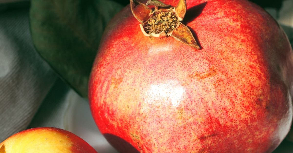 Maximize efficiency with step-by-step guide on asset management life cycle.