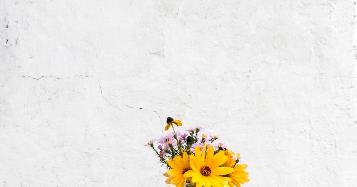 The 7 stages of a cheetah's life - fascinating journey