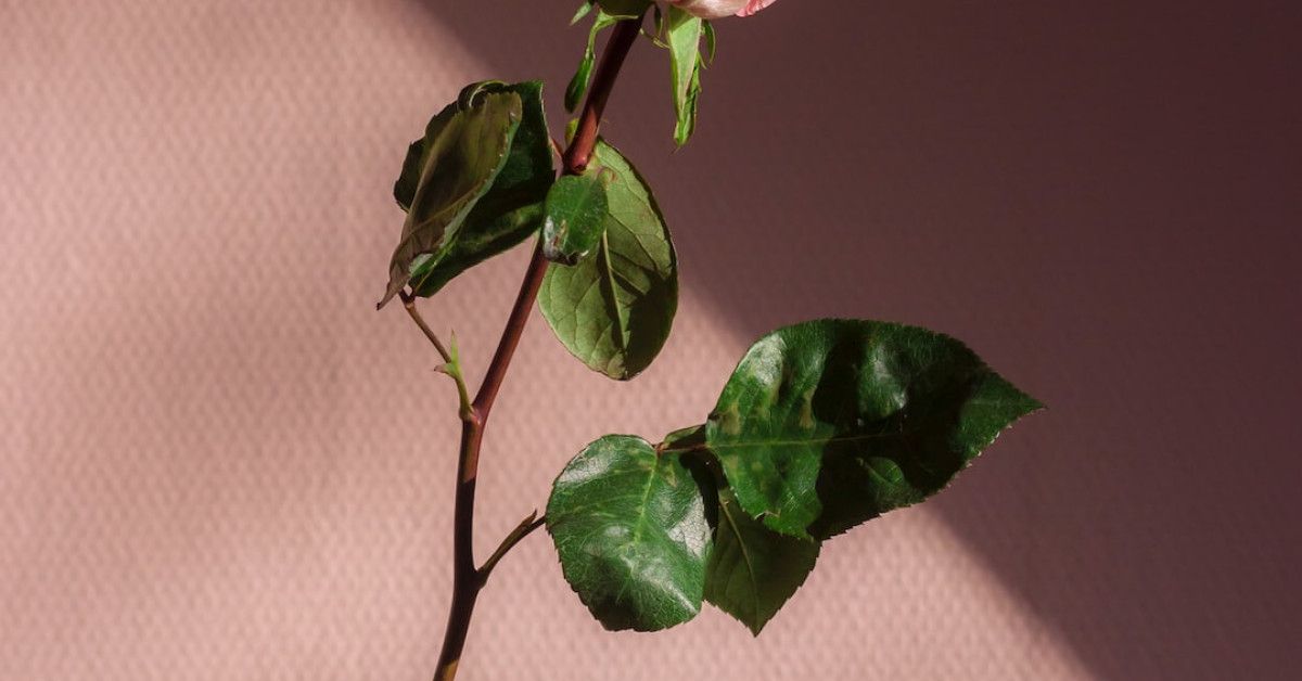 Complete guide to solution life cycle management in cycling