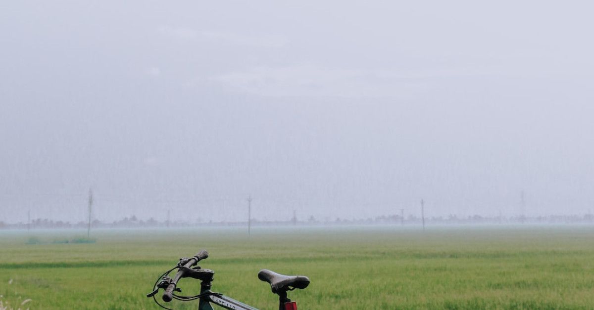 The evolution of cycling: a visual study on civilization