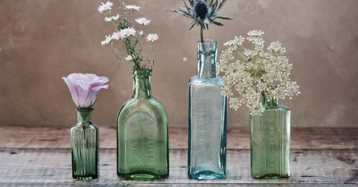 Stage of a wasp's life cycle: an exploration of mighty insects.