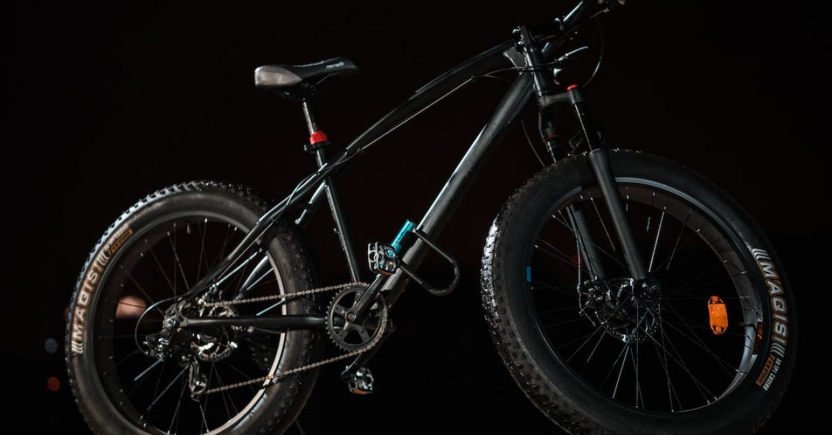 Lifecycle of termites: a fascinating glimpse into their cycle.