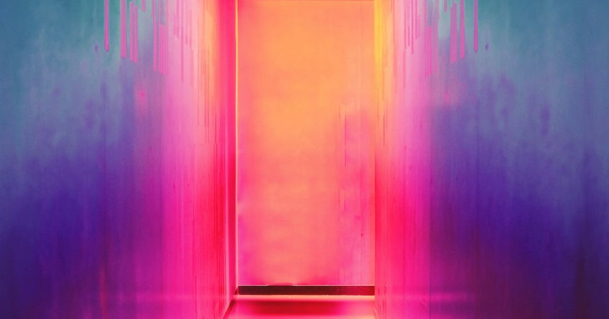 The life cycle of heartworms: an informative visual guide