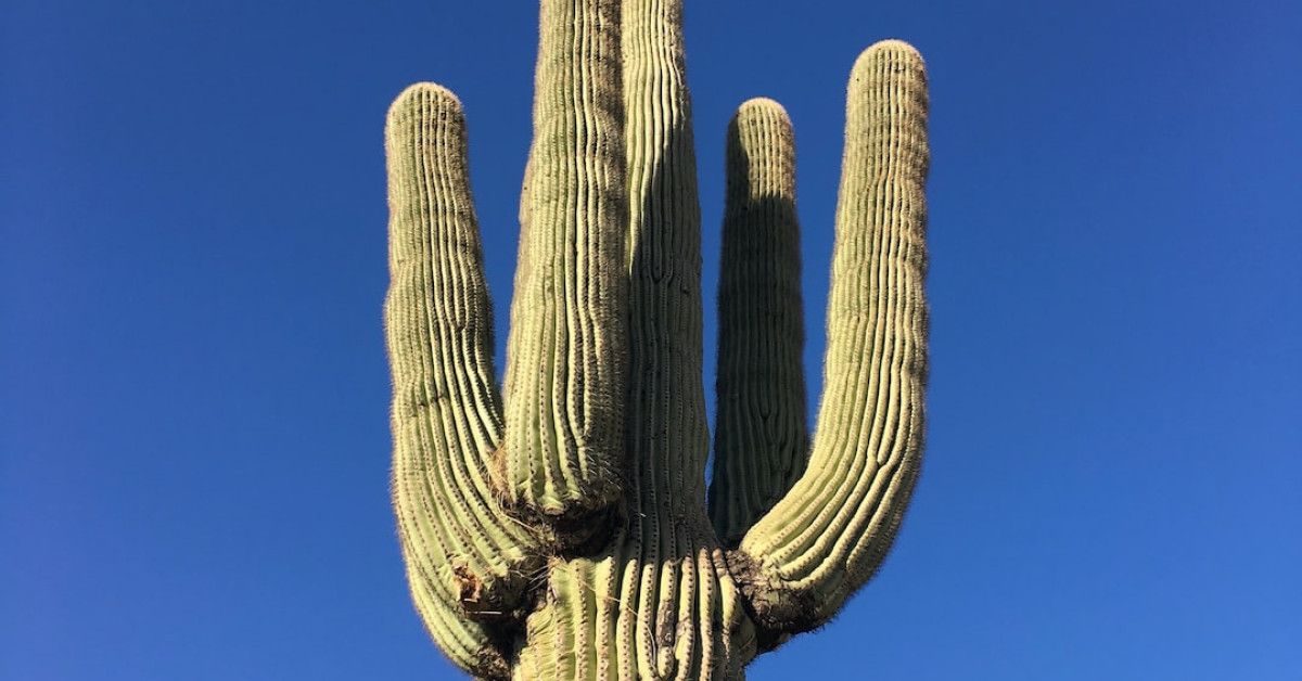 Product life cycle: a guide to achieving business success.