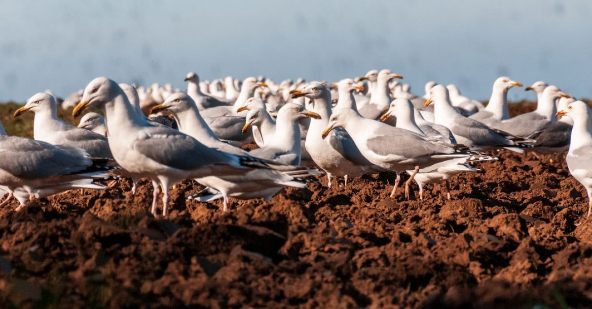 Top 10 Lake Tahoe Cycling Jerseys for Style and Performance.
