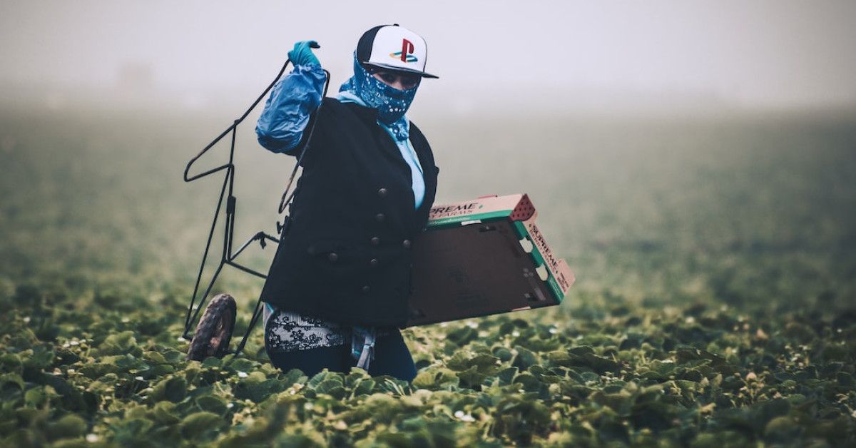 "USA Cycling racers in speed search guide illustration"