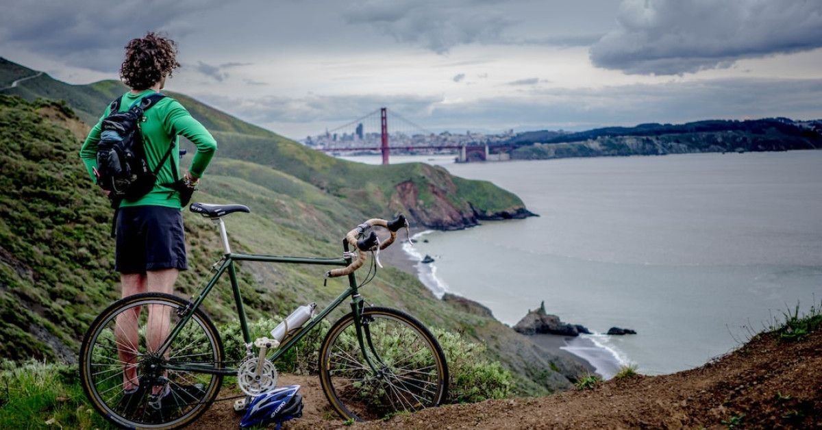 Top 7 Reasons to Get the BigDye Direct Cycle Sequencing Kit