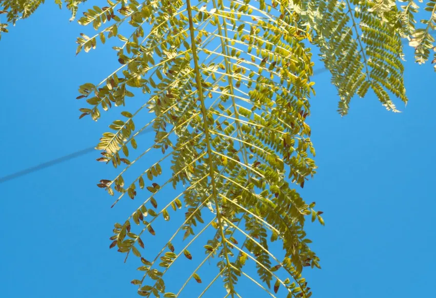 Power of data analytics in cycling unlocking analysis impact